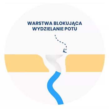 Femixal - Pomoże Ci Wzmocnić Zdrowie Wszystkich Układów - overview